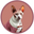CATCEO (CATCEO) logo