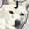 Jindoge (JINDOGE) logo