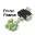 Printer.Finance (PRINT) logo