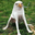 smoking eagle dog (SED) logo