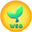 Widi Soul (WSO) logo