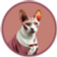 CATCEO (CATCEO) logo