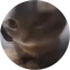 ChipiChipiChapaChapa (DANCINGCAT) logo