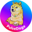 PulseDogecoin (PLSD) logo