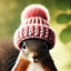 WIF PNUT (WPNUT) logo