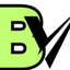 BLOCKVAULTTOKEN (_BVT) logo