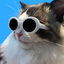 coolcat (_COOL) logo