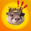 Degen the Otter (____________________DEGEN) logo